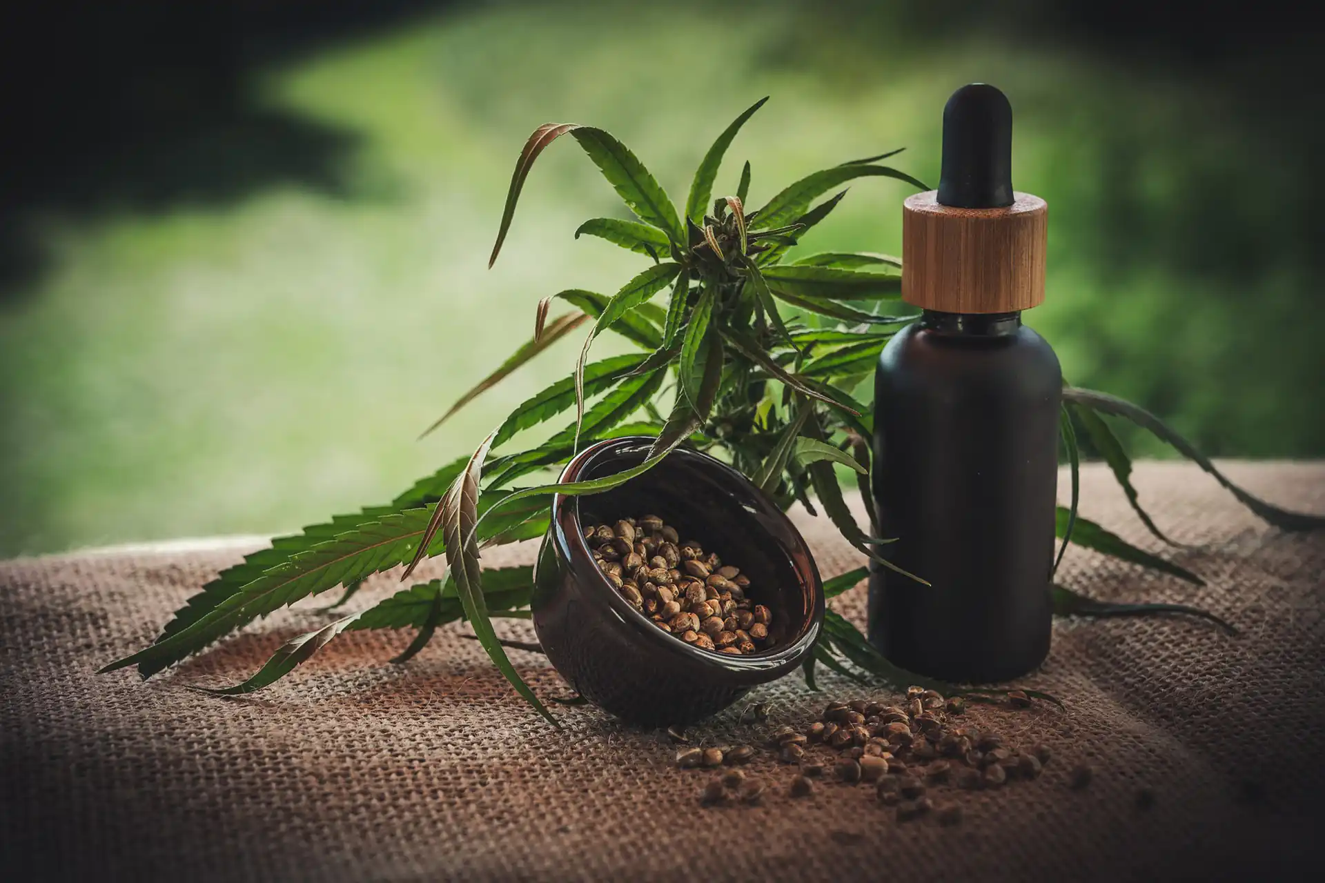 CBD, THC, Hemp, Cannabis & Marijuana Oil