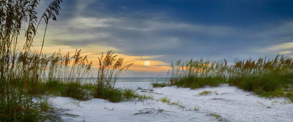 Sunset over a sandy beach with sea oats and a cloudy sky.